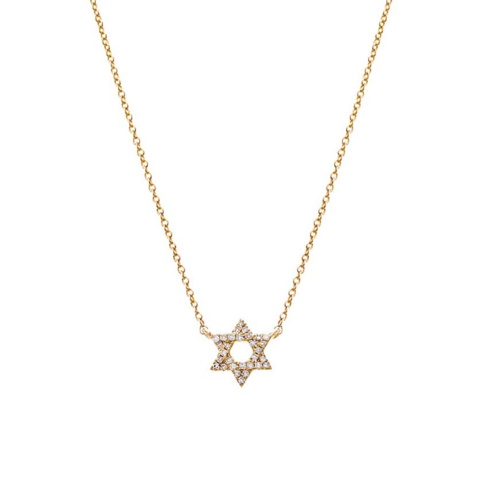 Diamond and 14k gold Star of David Necklace