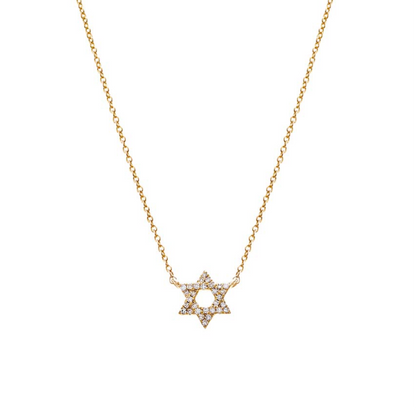 Diamond and 14k gold Star of David Necklace
