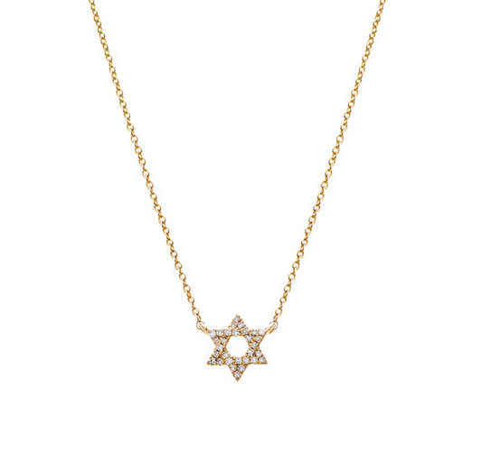 Diamond and 14k gold Star of David Necklace